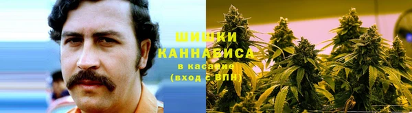 шишки Гусиноозёрск