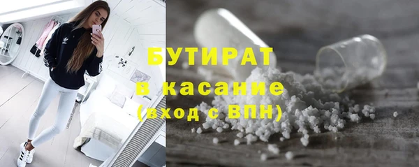 шишки Гусиноозёрск